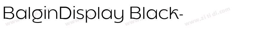 BalginDisplay Black字体转换